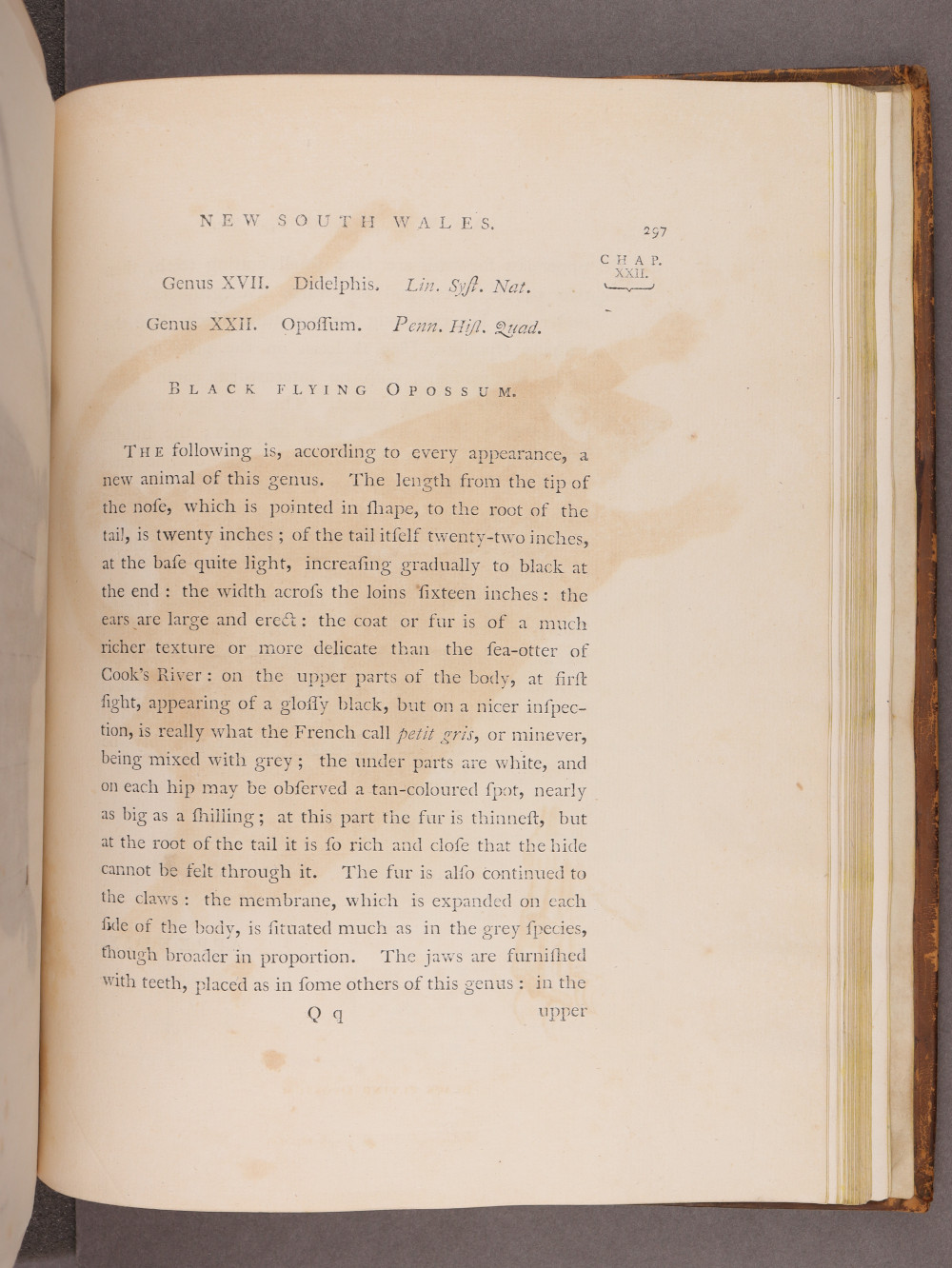 Page 297